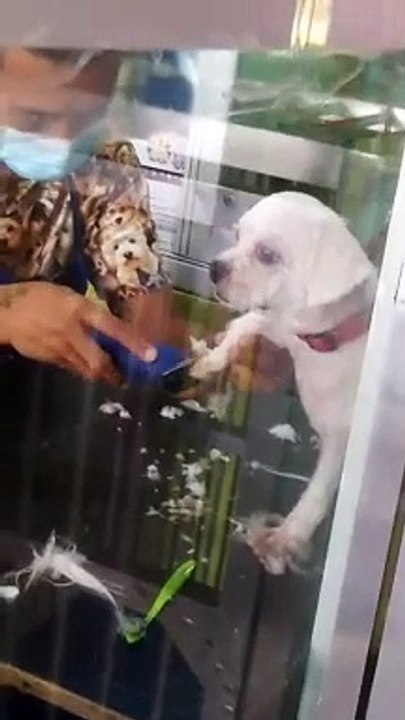 Bath Time