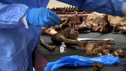 Colombia y la titánica labor de identificar a más de 100000 desaparecidos