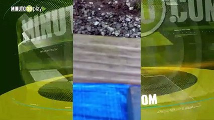 Qué susto tan berriondo descubren un enorme oso hibernando debajo de una casa