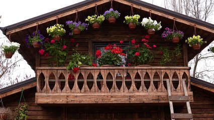 This Dish Took 20 Days to Make: Our Most Difficult Recipe Yet!