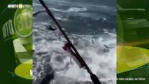 pescadores en EEUU grabaron un ataque de tiburones muy de cerca