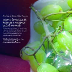 -ANDRÉS DE JESÚS VÉLEZ FRANCO- EFECTOS DEL DEPORTE EN LA SALUD MENTAL (PARTE 1) (@AndresdeJesus90)