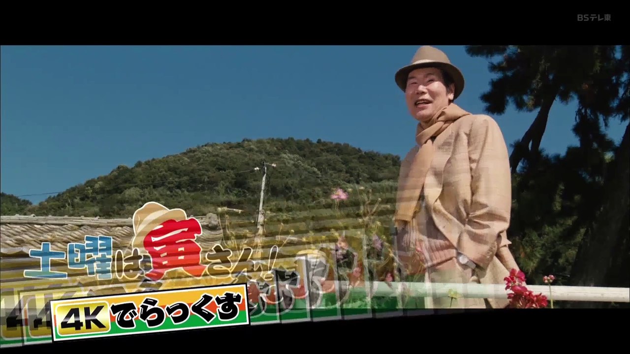 tora47,haikei-