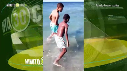 Pez que avisa terremotos reaparece, en una playa Dominicana