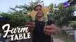 Grow It Yourself - Kalabasa Flowers | Farm To Table