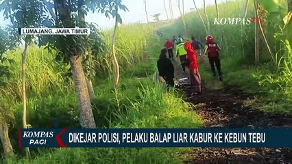 Dikejar Polisi, Pelaku Balap Liar di Lumajang Kabur ke Kebun Tebu