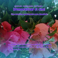 Moises Shemaria Capuano| El futuro del cine digital  (Parte 3) (Creado por @MoisesShemariaCapuano)