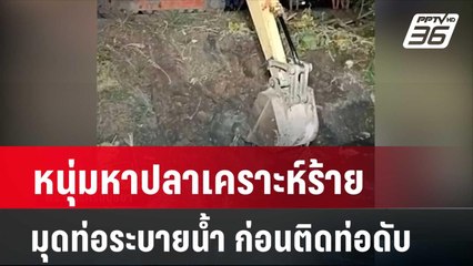 หนุ่มหาปลาเคราะห์ร้าย มุดท่อระบายน้ำ ก่อนติดท่อดับ  | โชว์ข่าวเช้านี้  |  25 มี.ค. 67