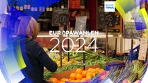 Euronews-Umfrage zur Europawahl: Wähler wollen ein sozialeres Europa