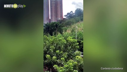 13-08-19 incendio las palmas