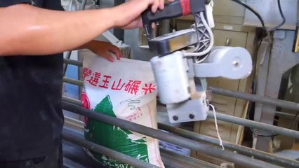 Rice Planting and Harvesting Process