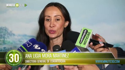 Alerta por altas cifras de deforestación en la jurisdicción de Corantioquia