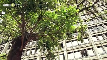 30-07-19 Preocupación de la rama judicial en Bello por amenazas en contra de funcionarios