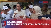 Pemprov DKI Jakarta Sebut Ada Kenaikan Kasus DBD, Paling Tinggi di Jakarta Selatan
