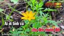 Tâm Sự Đời Tôi Karaoke Nhạc Sống Tone Nữ | Beat Karaok Việt Nam