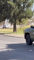 Escalofriante hallazgo trajo la corriente