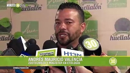 Lo que recomiendan los expertos para que las mascotas no sufran por pólvora