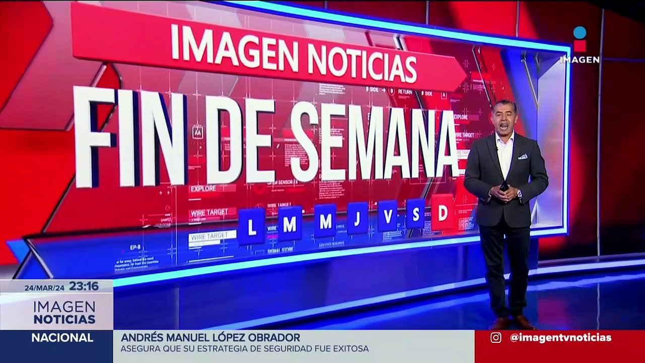 Llega la primavera a México y con ella las jacarandas