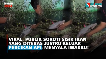 Viral, Publik Soroti Sisik Ikan yang Ditebas justru Keluar Percikan Api: Menyala Iwakku!