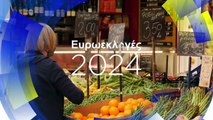 Ευρωεκλογές 2024: Οικονομία και κοινωνική προστασία οι προτεραιότητες των Ευρωπαίων ψηφοφόρων