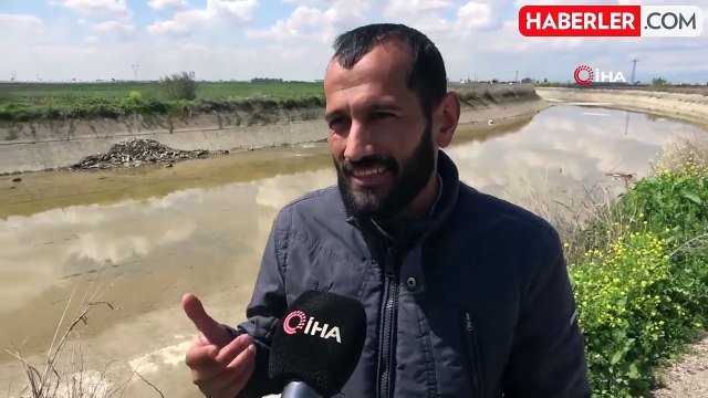 Adana'da sulama kanalında yüzlerce kesilmiş at ve eşek eti kalıntısı bulundu