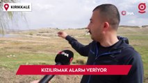 Kızılırmak alarm veriyor: Baraj sularının çekildiği alanda koyunlar otluyor