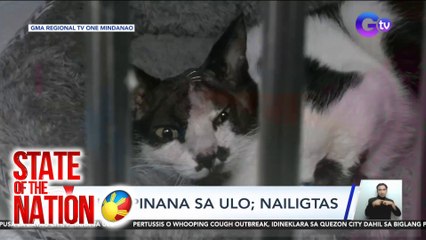State of the Nation Part 2: Pusang pinana sa ulo; G! sa Chocolate Hills ng Negros Oriental?; atbp