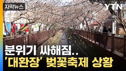 [자막뉴스] 이럴 수가...너무나 민망한 벚꽃축제 현장 / YTN