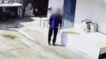 충남 논산 농가 창고에서 들깨 포대 훔쳐가...경찰 수사 / YTN