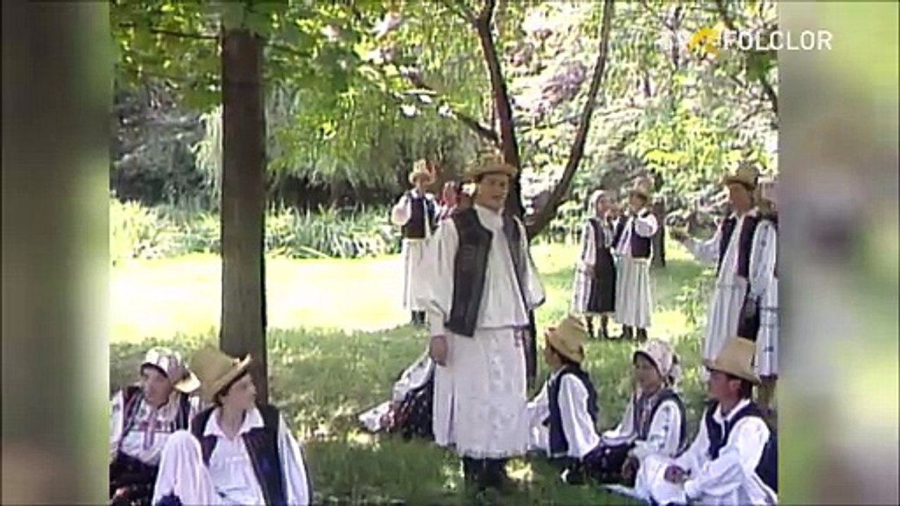 Nicolae Muresan - Trecui aseara prin codru (Tezaur folcloric - arhiva TVR)