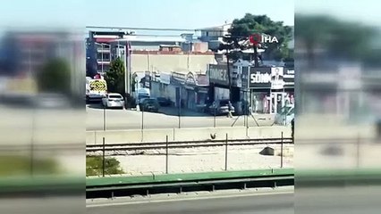 Sahibinin elinden kaçan horoz metro raylarına çıktı