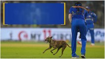 IPL 2024 Rohit Sharma Fans Overaction ..పాపం హార్దిక్..స్టేడియంలో కుక్కతో దారుణంగా | Telugu Oneindia