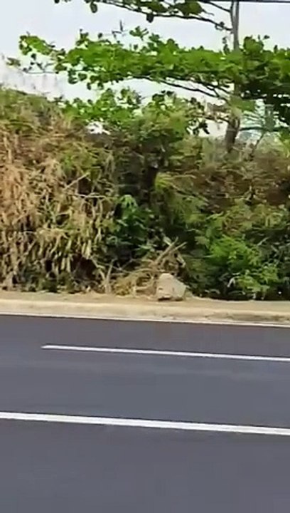 The Road II
