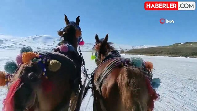 Çıldır Gölü'nde Atlı Kızak Heyecanı Devam Ediyor