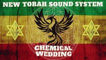 New Torah Sound System - Chemical Wedding (Dub)