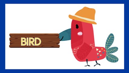 Learn Animals Names for Children - Learn Names of Animals  English educational video