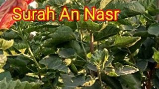 Surah an nasr | Surat ul nasr | Tilawat quran | Learn Quran | Bubak learn quran