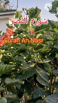 Surah an nasr | Surat ul nasr | Tilawat quran | Learn Quran | Bubak learn quran
