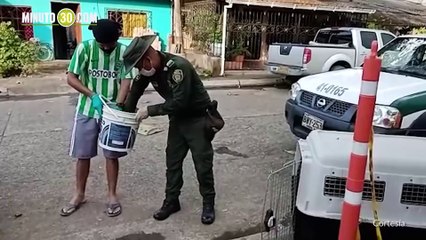 La Policía rescató a una zarigüeya