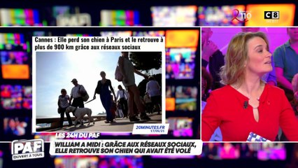 Grâce aux réseaux sociaux, elle retrouve son chien qui avait été volé