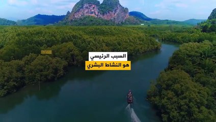 الأمم المتحدة تدق ناقوس الخطر بشأن الأزمة التي تواجه الحيوانات المهاجرة!