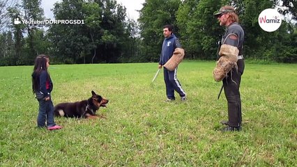 Böse Männer gehen auf ein Mädchen los: Sie bereuen ihre Tat sofort (Video)