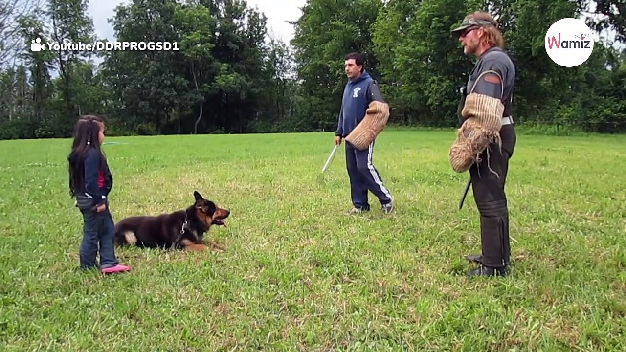 Böse Männer gehen auf ein Mädchen los: Sie bereuen ihre Tat sofort (Video)