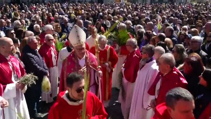 Telegiornale Rtp 24 marzo 2024