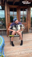 Dog Tries to Sing with Owner | Incredible Pet Talent 