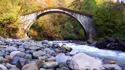 Apolas Lermi - Yagmur