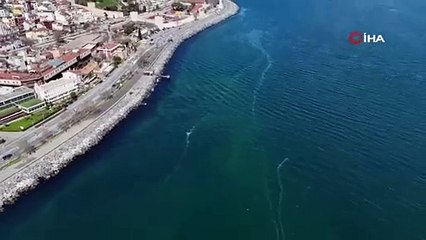Denizin ortasından geçen beyaz çizginin sırrı! Kilometrelerce uzunluğunda...
