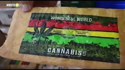 Narcos en Cali estarían utilizando pulpa de fruta congelada para camuflar marihuana