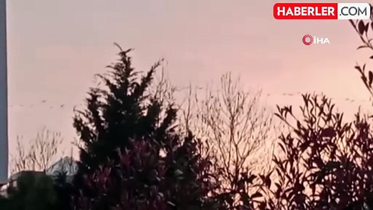 Pelikan sürüsü Bursa semalarında görsel şölen oluşturdu