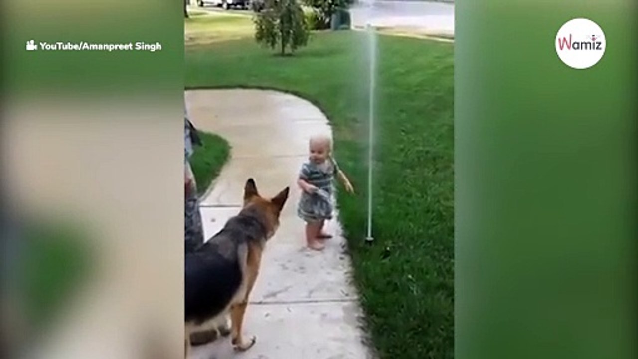 Schäferhund stürmt auf Kleinkind zu: Passanten bekommen kugelrunde Augen!